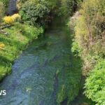Déversements quotidiens d'eaux usées au Pays de Galles dans un ruisseau de Herefordshire : un acte illégal !