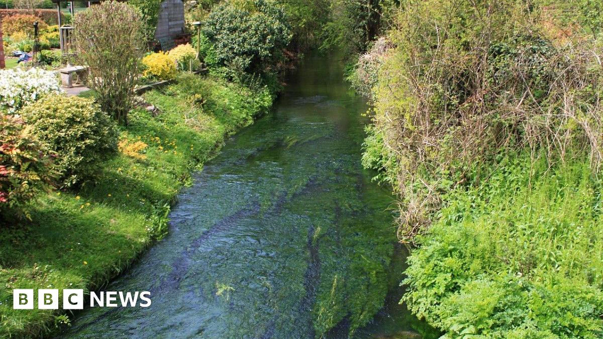 Déversements quotidiens d'eaux usées au Pays de Galles dans un ruisseau de Herefordshire : un acte illégal !