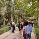 Éclat de la jardinière à l'occasion de Sham el-Nessim : stations-service en alerte et préparation pour la récolte du blé !