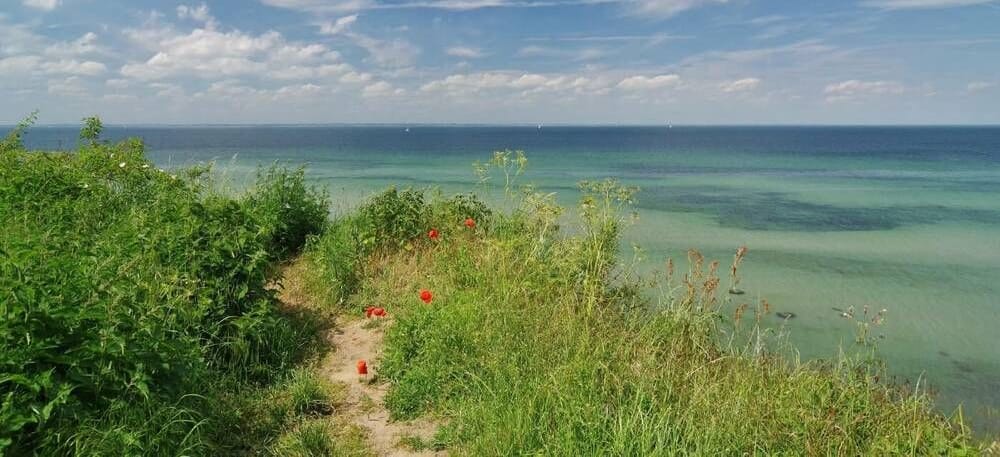 Vue sur la côte de la mer Baltique
