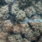 Un trafiquant de drogue à Teruel arrêté avec marijuana et cocaïne !