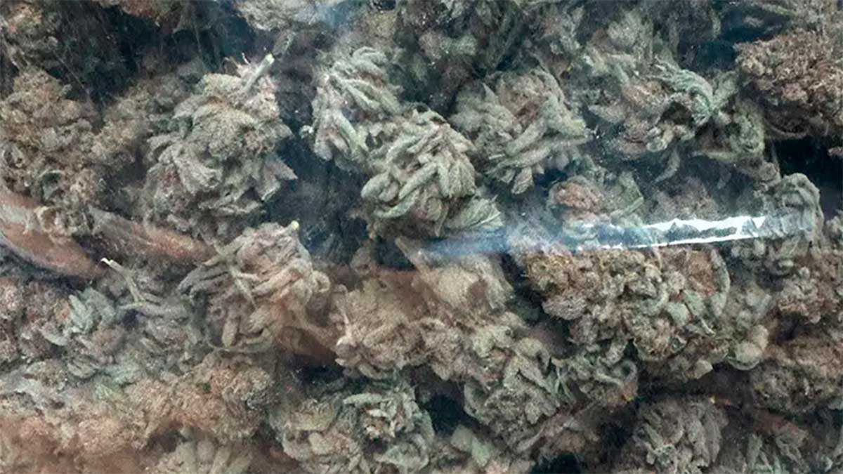 Un trafiquant de drogue à Teruel arrêté avec marijuana et cocaïne !