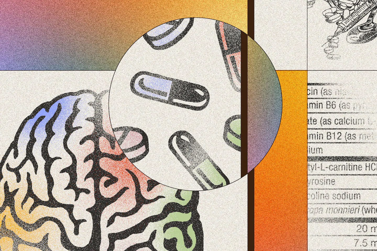 Les suppléments pour le cerveau explosent : découvrez ceux recommandés par un expert en longévité.