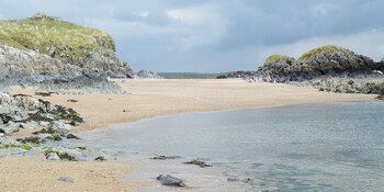 Le cadre protégé de la Réserve Naturelle et du Bois de Newborough est idéal pour les balades et l'observation de la faune.
