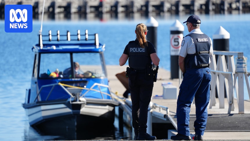Plongeur victime d'une attaque de requin de 4,5 m près d'Albany