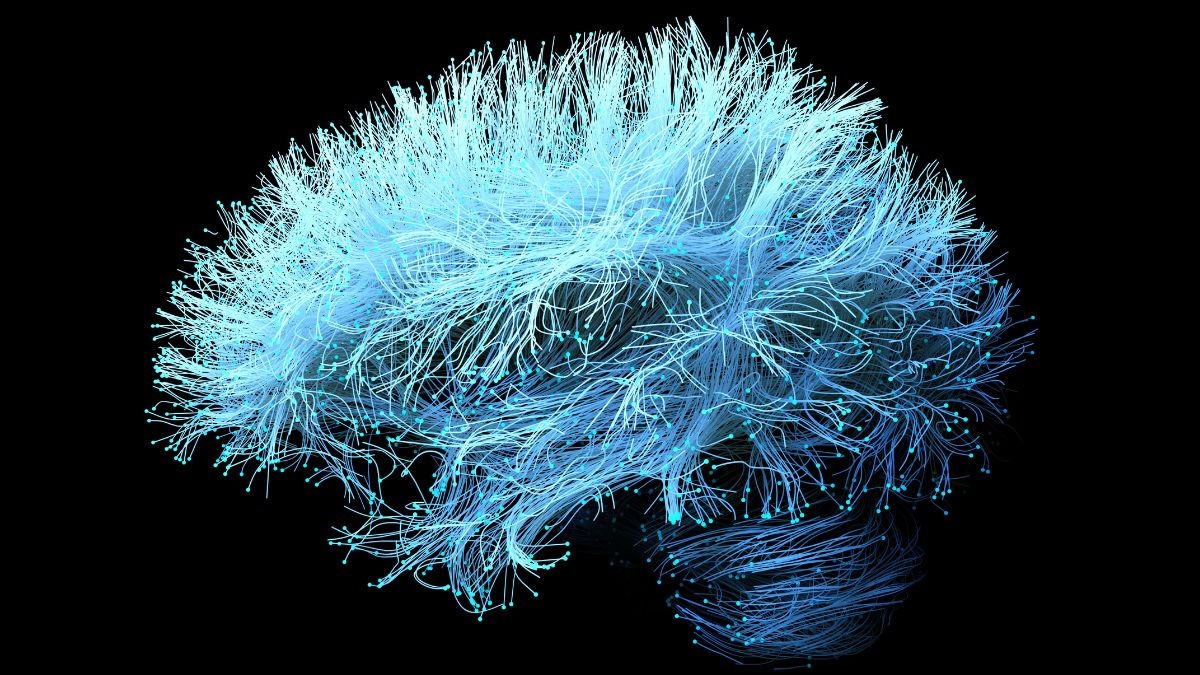 Un complément pour les douleurs articulaires pourrait accélérer la perte de mémoire liée à Alzheimer