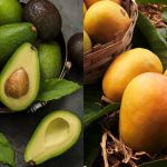 Avocat ou Mangue : Quel fruit est le plus nourrissant en été ?