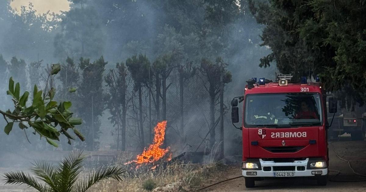 Enfant de 10 ans déclenche un incendie agricole en jouant avec un briquet et un aérosol à Inca