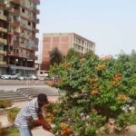Enquête sur des responsables locaux : préparatifs intensifs pour l'Aïd el-Adha à Assouan