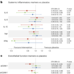 Impact de l'exercice et du liraglutide sur la santé vasculaire et l'inflammation durant la maintenance du poids : analyse secondaire du trial S-LiTE