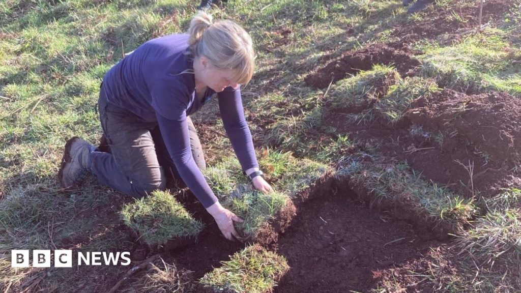 Jardins du Devon : à la découverte de l'histoire locale