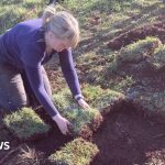 Jardins du Devon : à la découverte de l'histoire locale