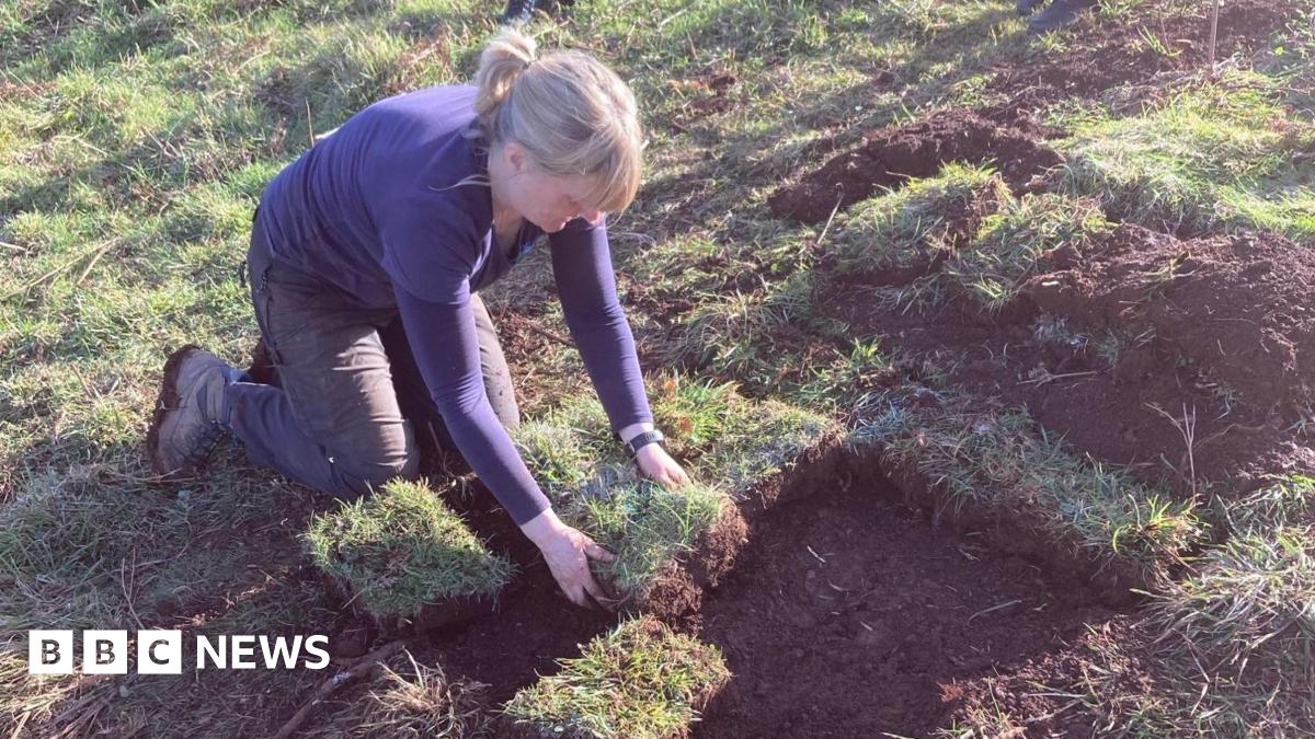 Jardins du Devon : à la découverte de l'histoire locale