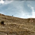 Muraille de Medinaceli : révélations sur son évolution architecturale