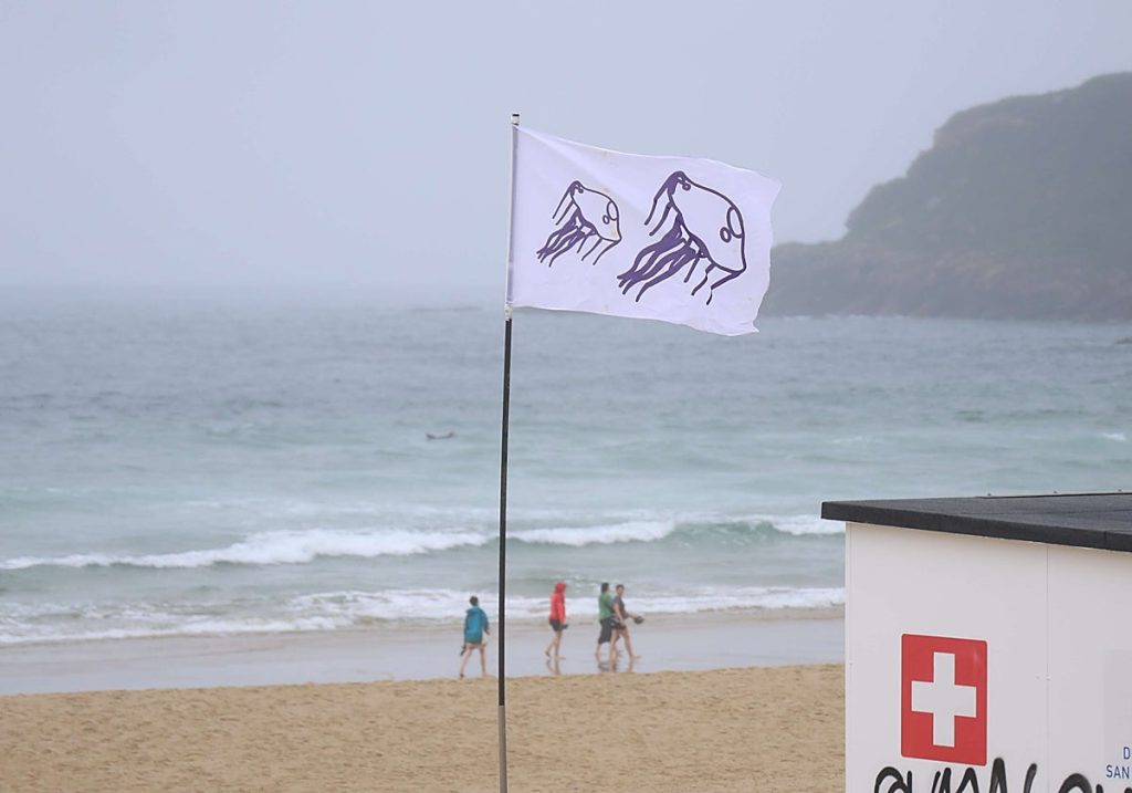 Ondarreta affiche fièrement sa plage de méduses après quelques piqûres de caravelas