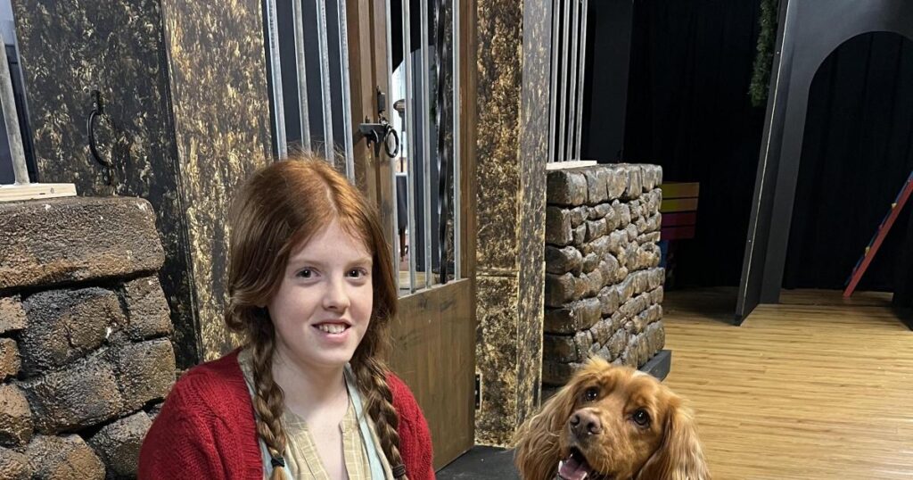 Un chien local va briller dans la production d'Annie!