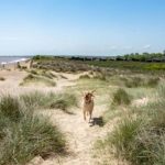 Walberswick, l'une des plus belles plages près de Londres