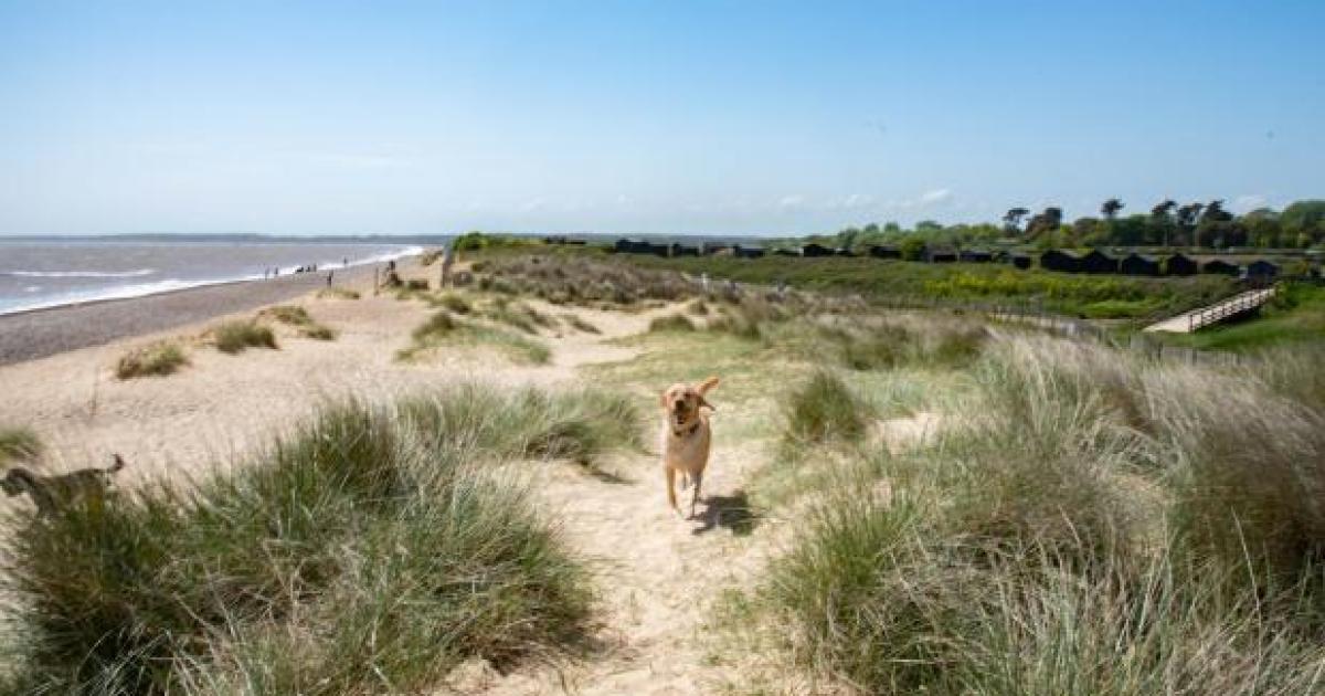 Walberswick, l'une des plus belles plages près de Londres
