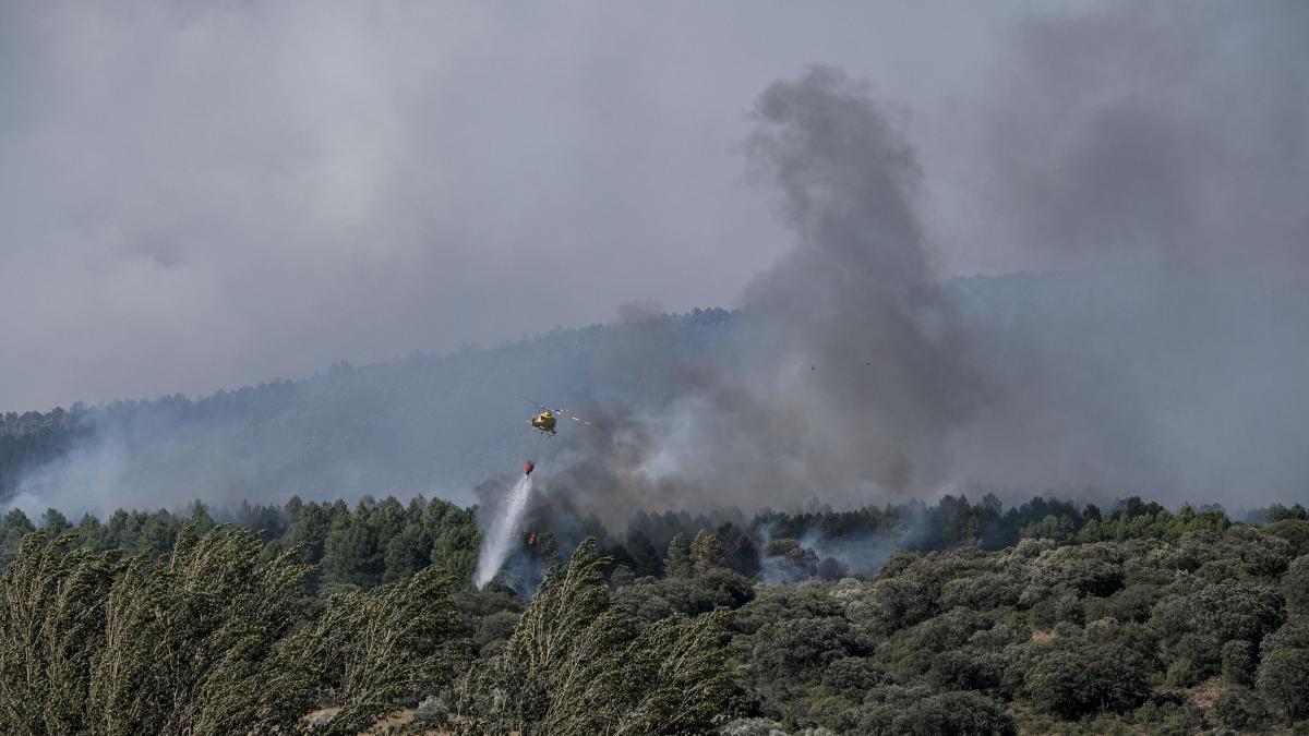 Quinze communes évacuées à cause de l'incendie de la Mierla à Guadalajara