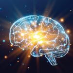 Exercice : le bouclier du cerveau vieillissant !