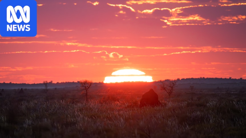 Actus locales : Goldfields, Esperance, Midwest et Wheatbelt WA - 17 juillet 2026
