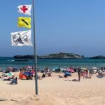 Alerte sur les plages cantabriques : plus de 120 piqûres de méduses en une journée !