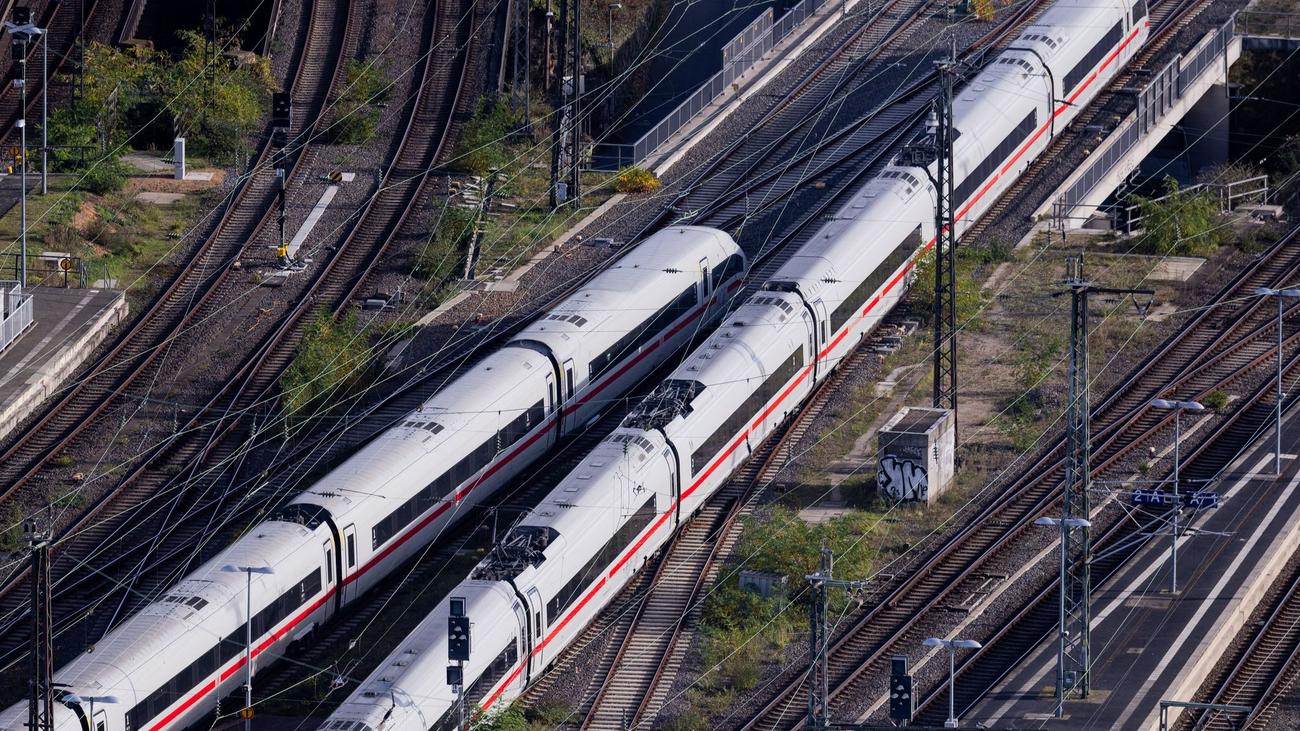 Bilan d'entreprise : Forte demande et bénéfices, la dirigeante Palla se réjouit des succès