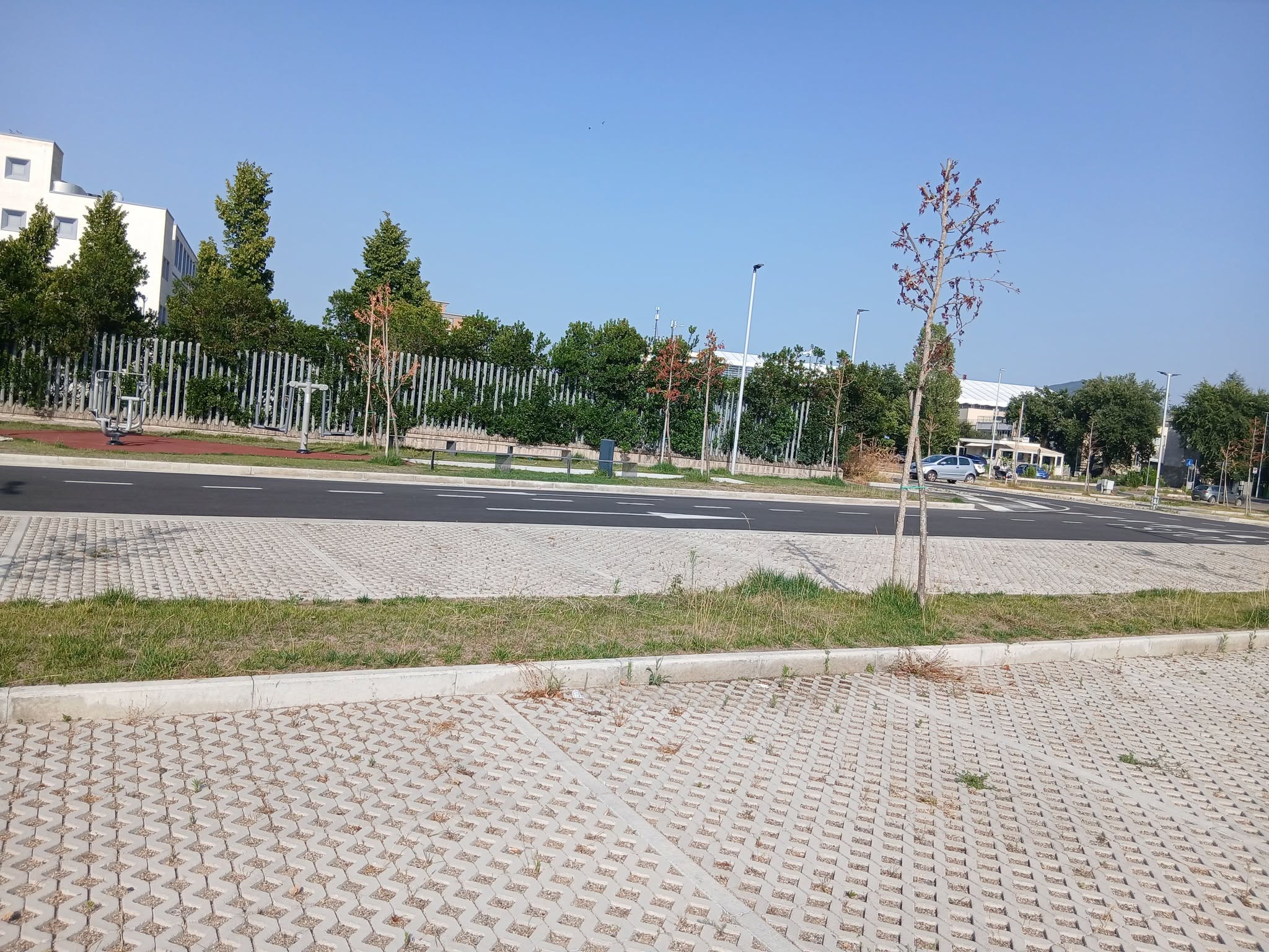 Chronique sombre dans le vert du Viterbe