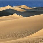 Dunes de Maspalomas : Préservation en danger face à l'afflux de visiteurs