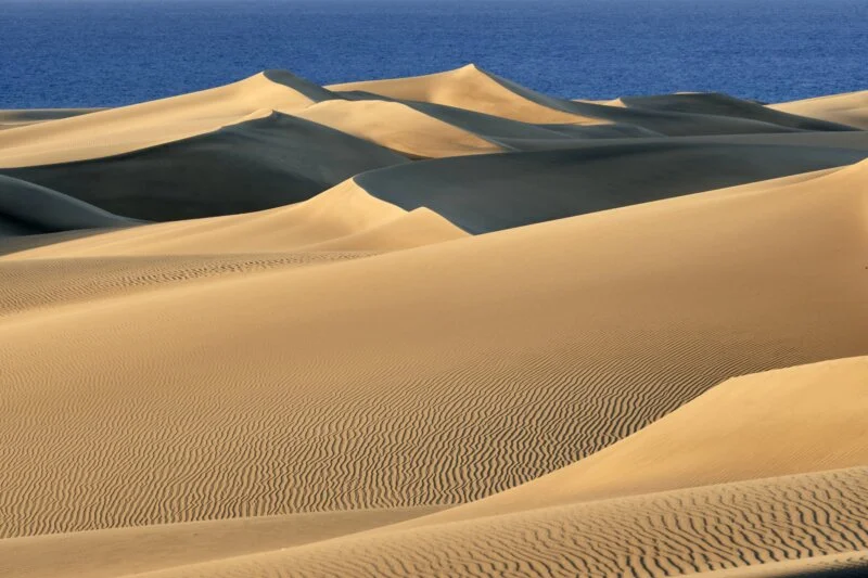 Les Dunes de Maspalomas, sous pression à cause de l'afflux de visiteurs.