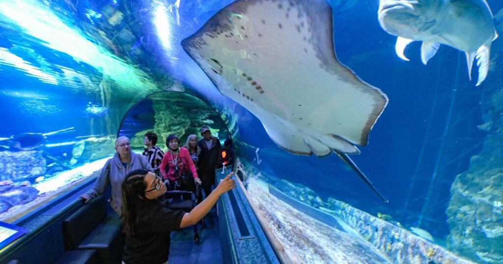 Dusit Place : 6 nouvelles attractions, dont un aquarium et un centre de fitness !