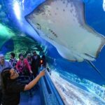 Dusit Place : 6 nouvelles attractions, dont un aquarium et un centre de fitness !