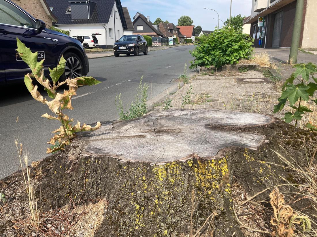 Hammer Straße en travaux