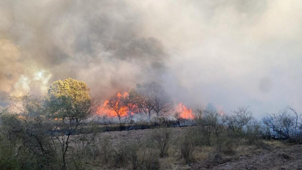 Incendie de Rábano de Aliste : Niveau de danger réduit !
