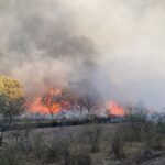 Incendie de Rábano de Aliste : Niveau de danger réduit !
