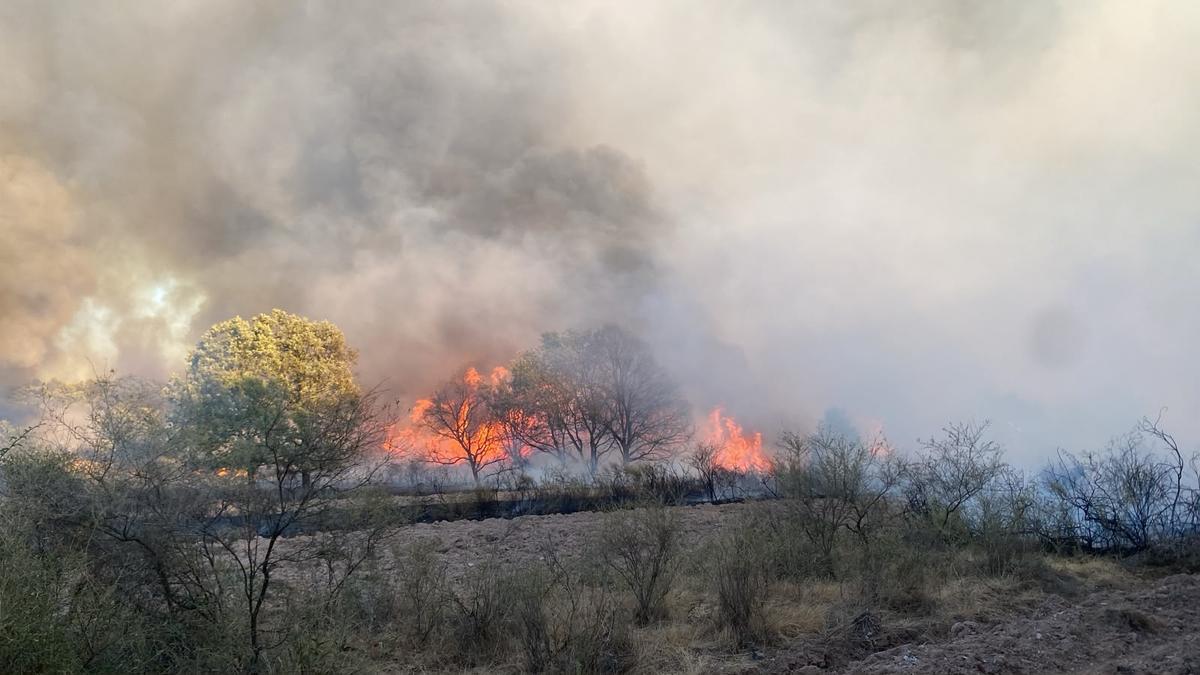 Incendie de Rábano de Aliste : Niveau de danger réduit !