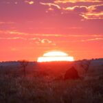 Infos locales Goldfields, Esperance et Mid West WA - Briefing du 1er juillet 2026
