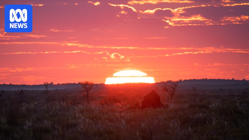 Infos locales Goldfields, Esperance et Mid West WA - Briefing du 1er juillet 2026