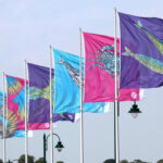 Pêche locale : des idées innovantes pour de nouveaux drapeaux