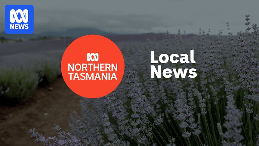 Point d'actualité du lundi 6 juillet en Tasmanie du Nord