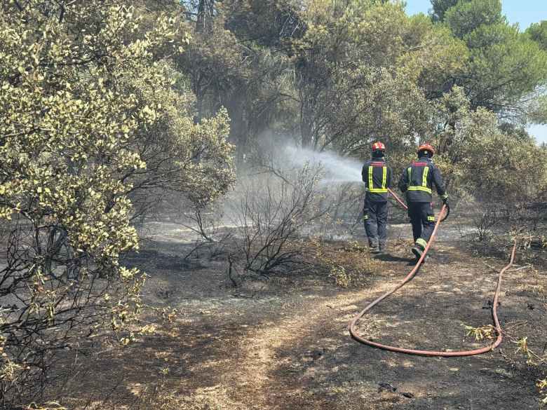 Pompiers et équipes de lutte contre les incendies en action