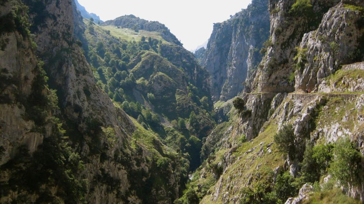 Trois alpinistes blessés, dont un gravement