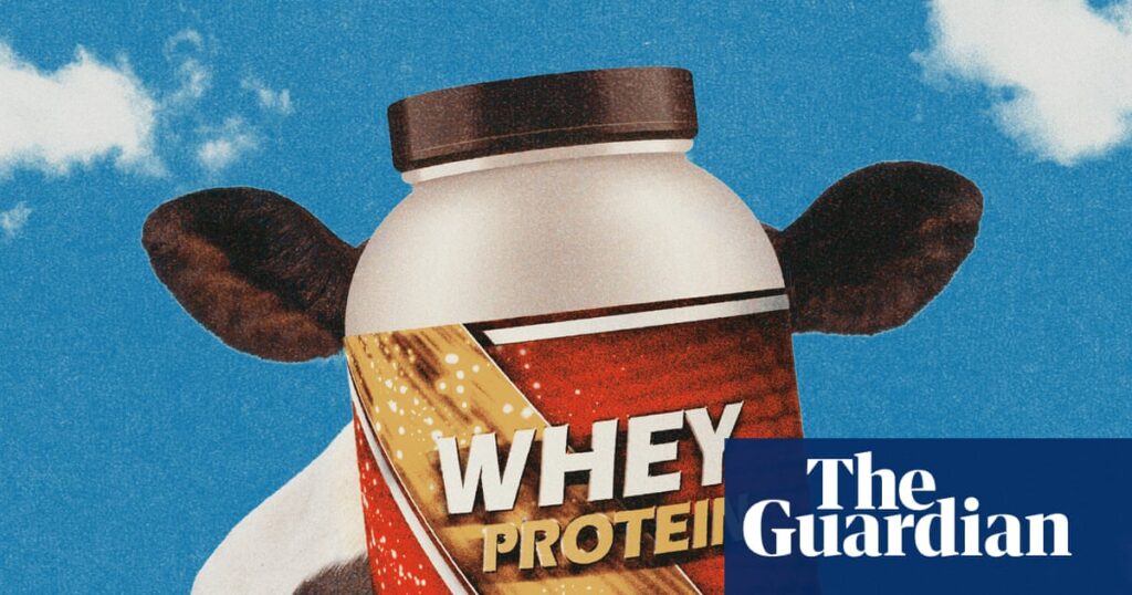 Whey en pleine ascension : un sous-produit laitier devenu star du boom du « proteinmaxxing » – la demande est-elle trop forte ?
