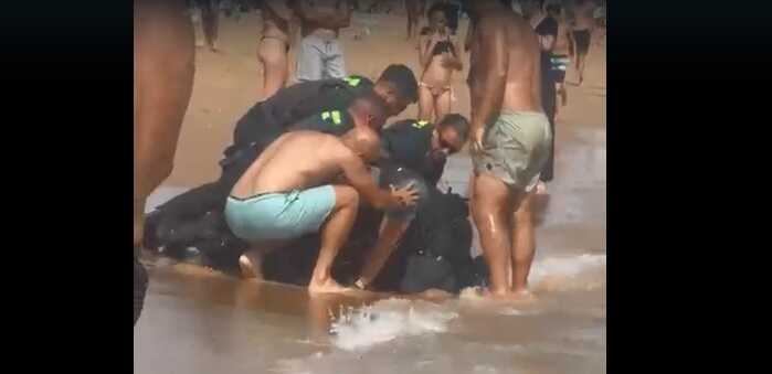 Interpellé dans l'eau après une fuite spectaculaire
