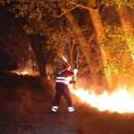 Incendie entre Cetina et Ariza : les secours en action, évitez la zone !