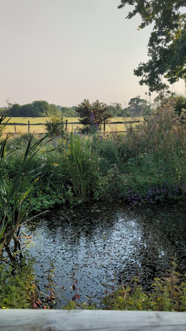 Le Cumbria Wildlife Trust, où se situe Rise