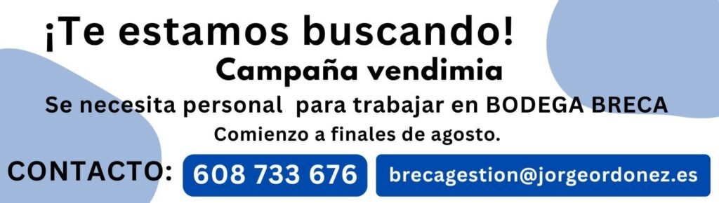 Accident de circulation entre Castejón de las Armas et Carenas