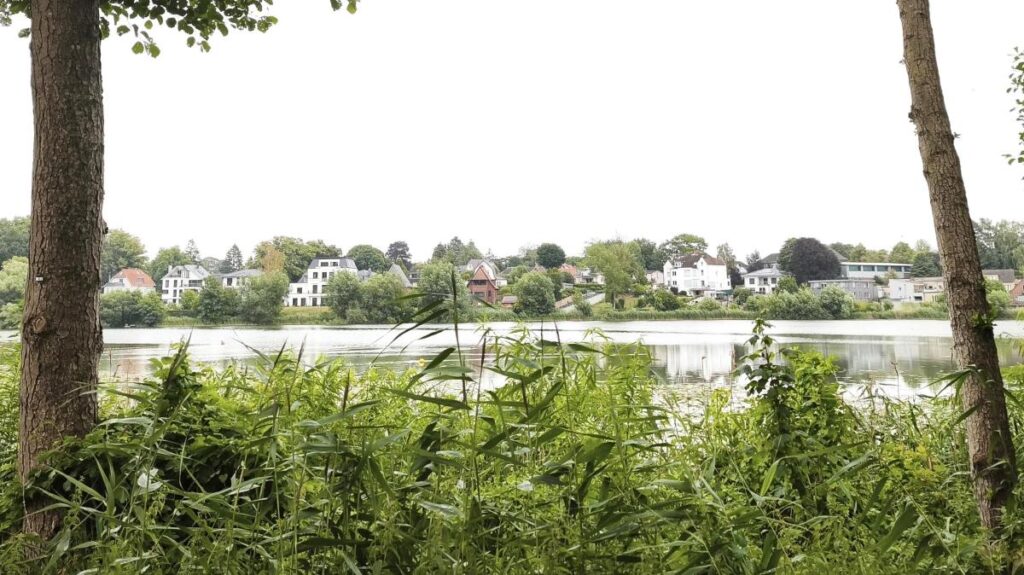 Alerte aux baigneurs : Que savoir sur les algues bleues du Herrenteich à Reinfeld ?