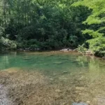 Baisse des niveaux d'E.coli dans les zones de baignade de Chattanooga !