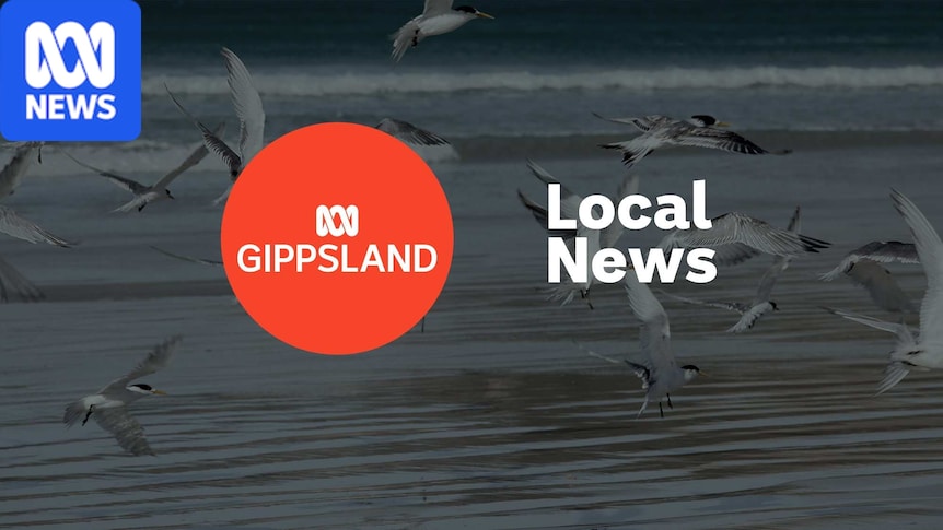 Brèves locales de Gippsland - 31 août 2026